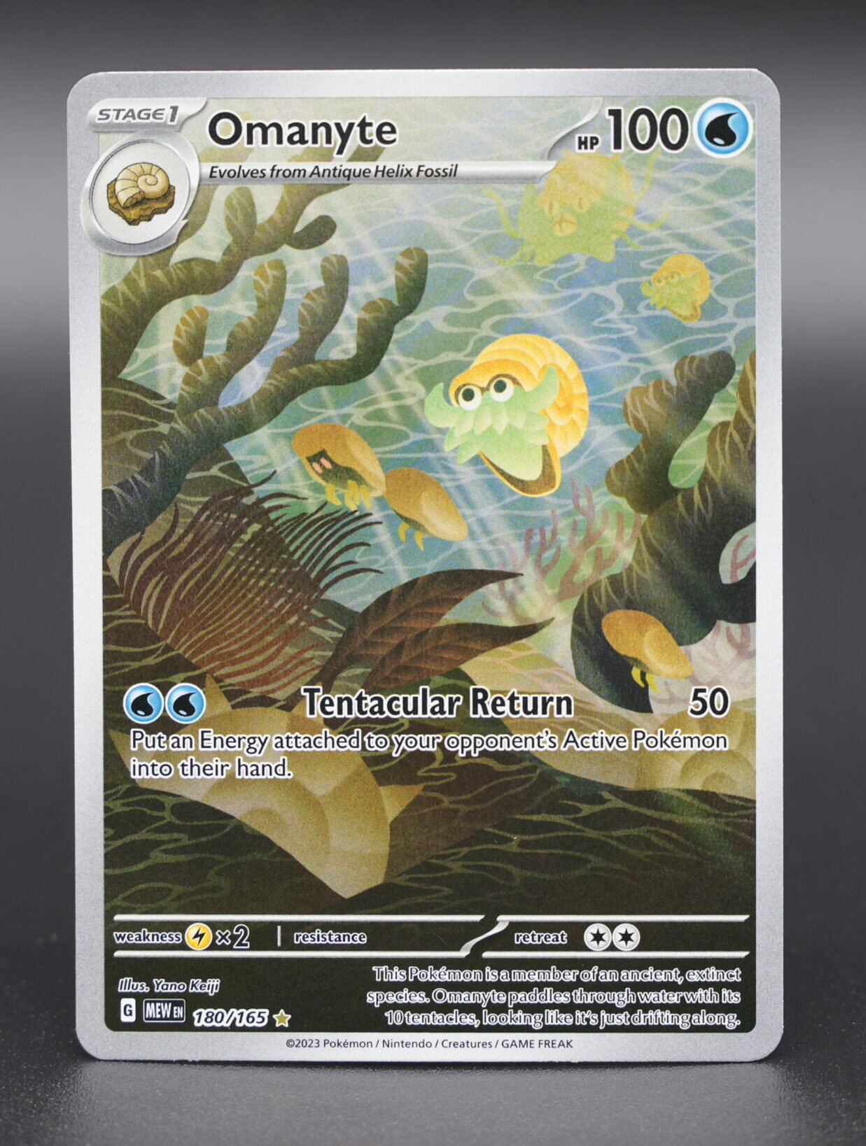 Omanyte