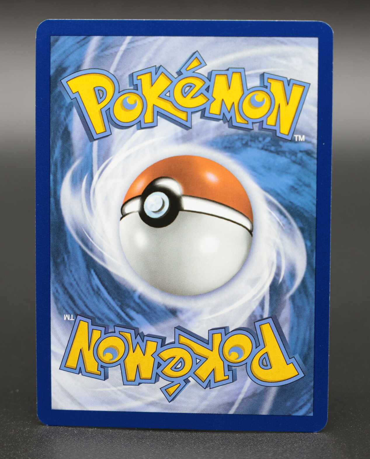 Squirtle - Image 3