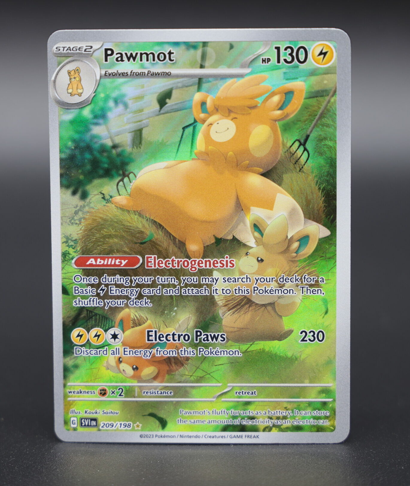 Pawmot