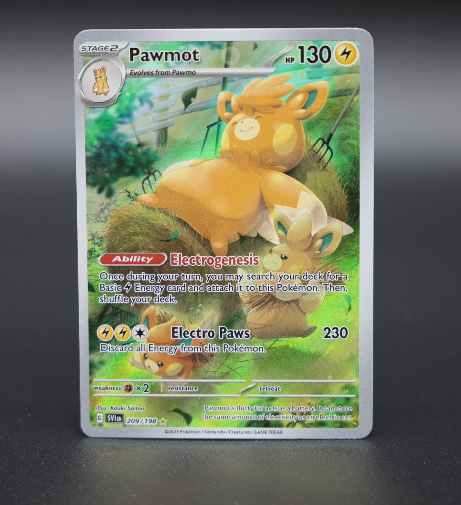 Pawmot
