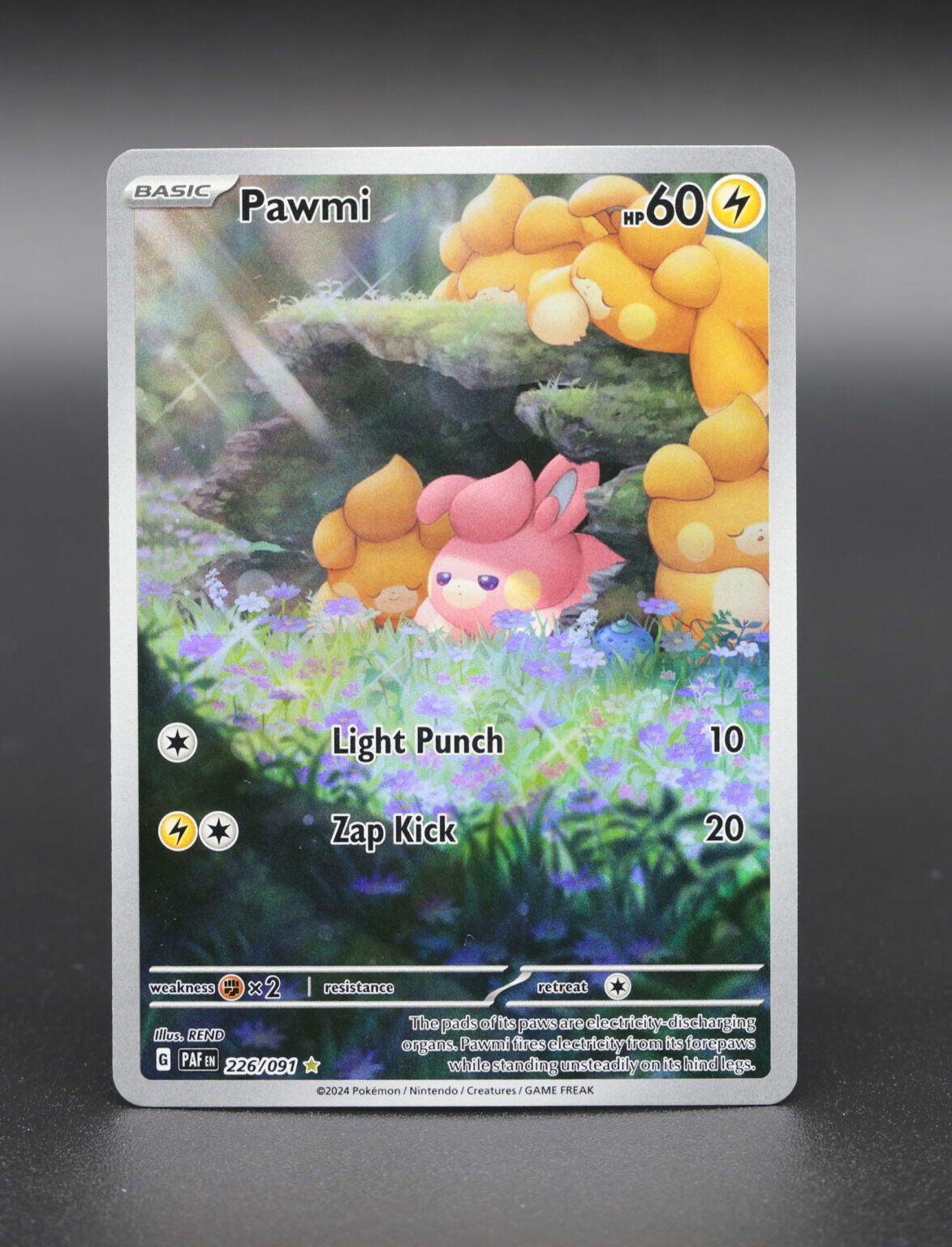 Pawmi